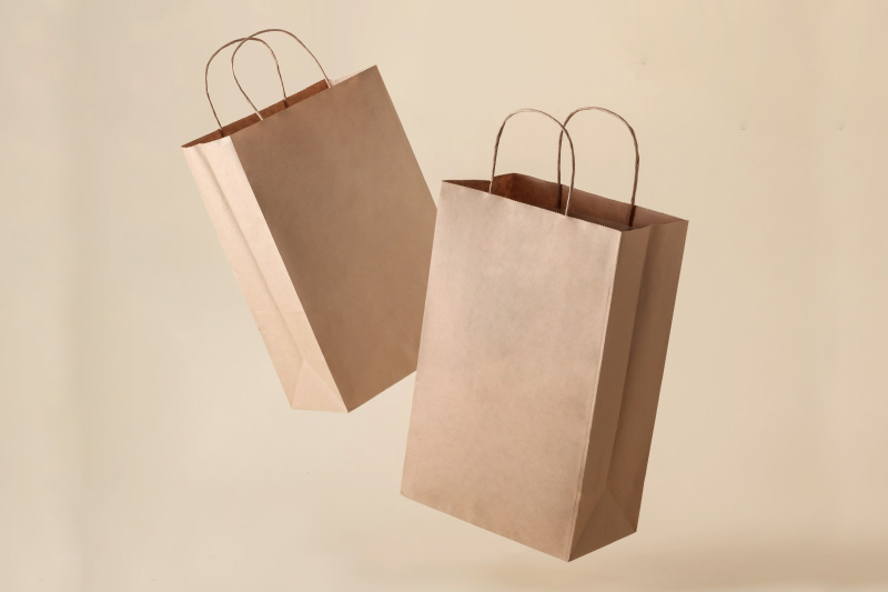 Paper Bag Design 2