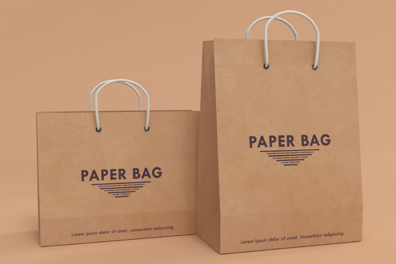 Paper Bag Design 8
